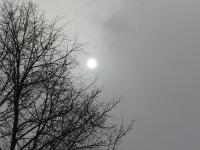 winter sun