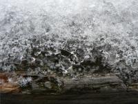 snow crystals