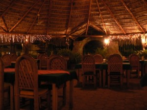 p1110151 under the palapa