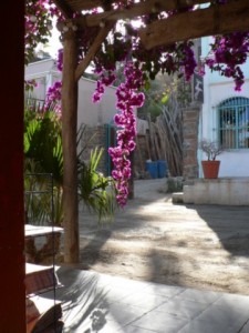 p1110171 view of street, front porch of cafe todos santos