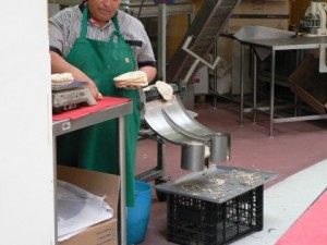 p1110259 tortilla machine