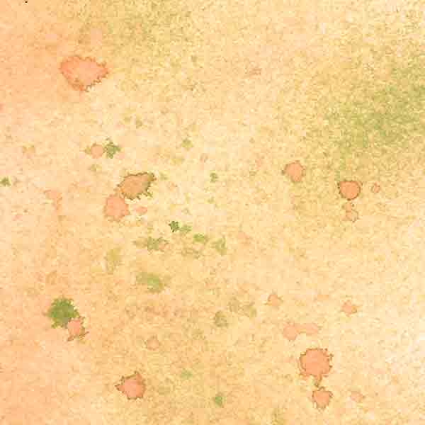 peach_arugula_background_rev