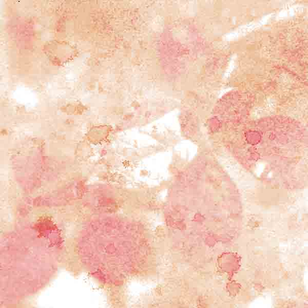 peach_paint_leaves