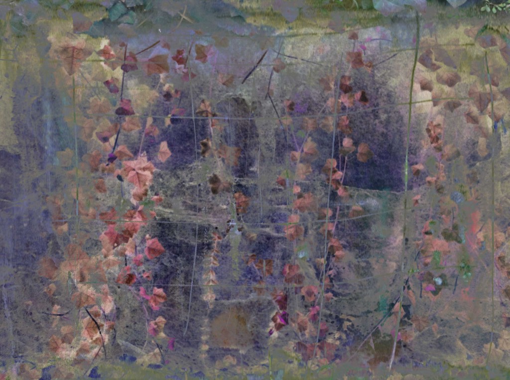 november-ivy