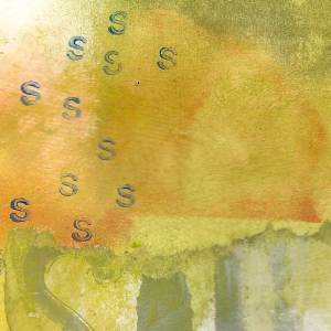 cloud of s's