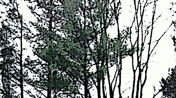 forest, poster edges filter