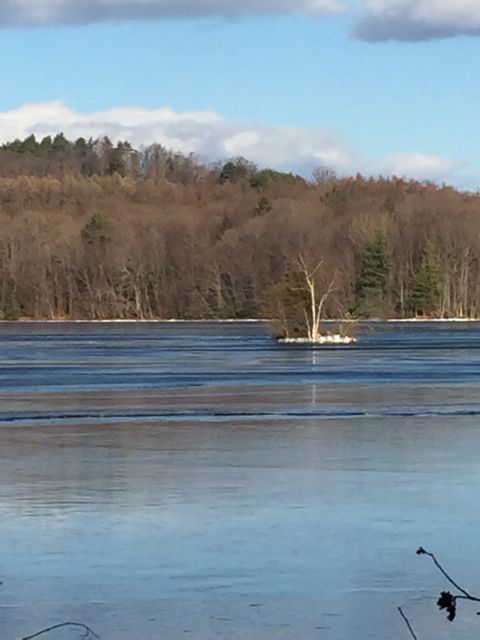 closeup of little birch island