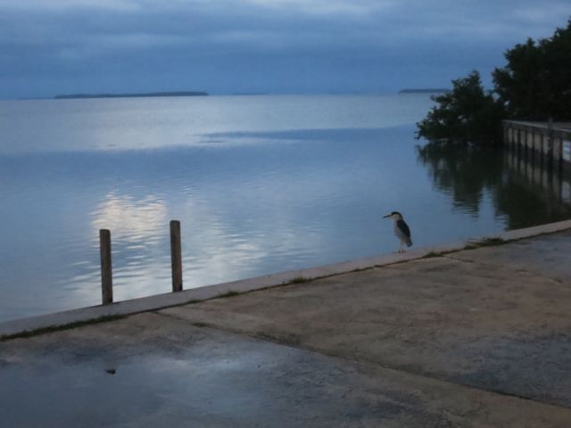 last morning