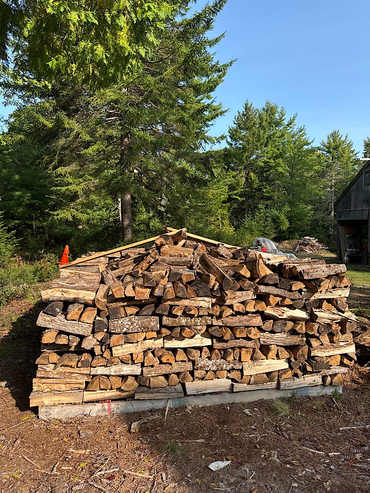 woodpile